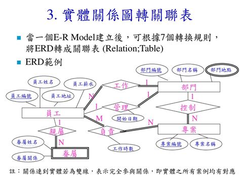 關聯圖 英文|ER Model 實體關係圖